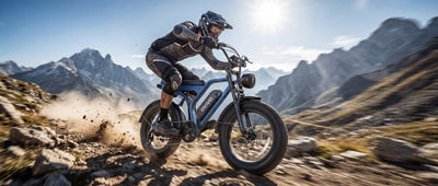 OVIVO GO LITE Bici Elettrica Fat 48V 20Ah Autonomia 120 km