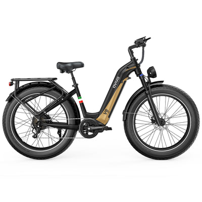 OVIVO V6 PRO Bici Elettrica Fat 48V 20Ah Autonomia 150 km