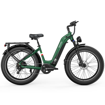 OVIVO V6 PRO Bici Elettrica Fat 48V 20Ah Autonomia 150 km