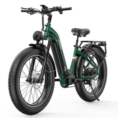 OVIVO V6 PRO Bici Elettrica Fat 48V 20Ah Autonomia 150 km