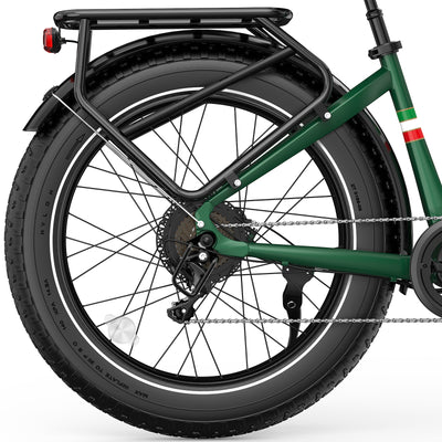 OVIVO V6 PRO Bici Elettrica Fat 48V 20Ah Autonomia 150 km