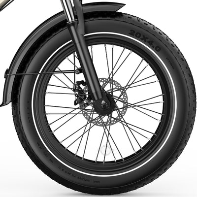 OVIVO C1 MAX Bici Elettrica Doppia Batteria 48V 23.4Ah 140 km