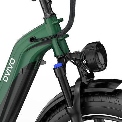 OVIVO V6 PRO Bici Elettrica Fat 48V 20Ah Autonomia 150 km