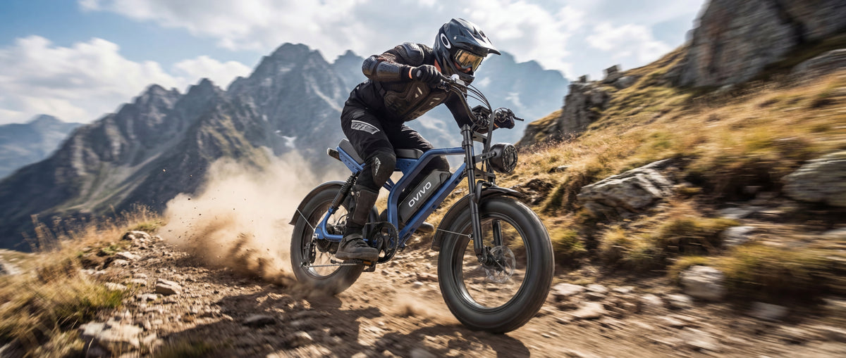 OVIVO GO LITE Bici Elettrica Fat 48V 20Ah Autonomia 120 km