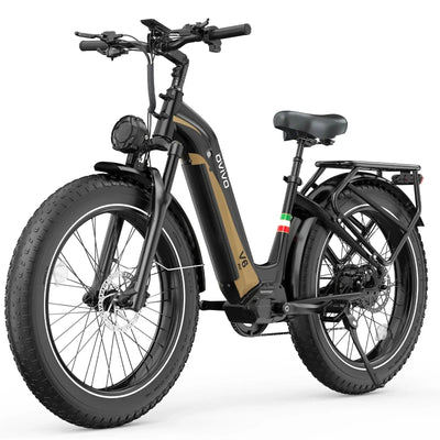 OVIVO V6 PRO Bici Elettrica Fat 48V 20Ah Autonomia 150 km